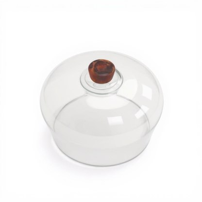 Cake Dome Glass with resin handle