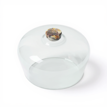 Cake Dome Glass with resin handle