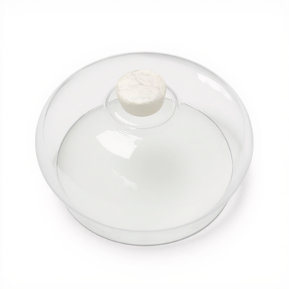 Cake Dome Glass with resin handle