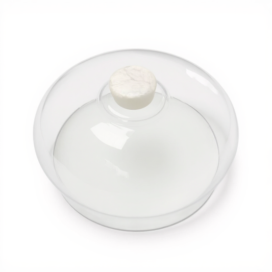 Cake Dome Glass with resin handle